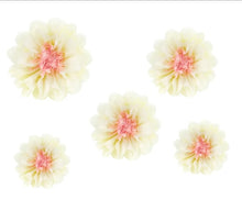 Load image into Gallery viewer, paper flowers / 5 pack