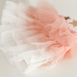 OMBRE LAYERED TUTU / SPECIAL PRICED